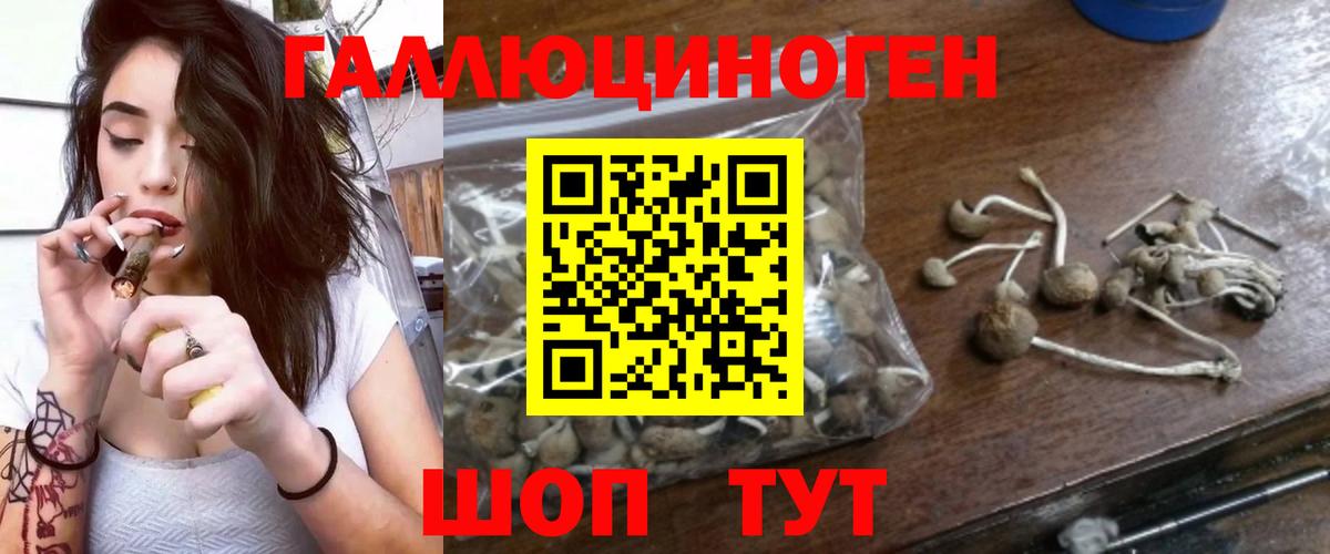 Псилоцибиновые грибы мицелий Лосино-Петровский